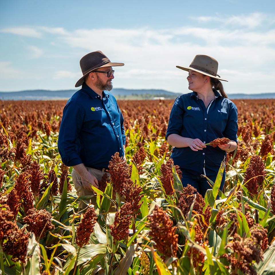 CoBright at Vantage NSW in Gunnedah